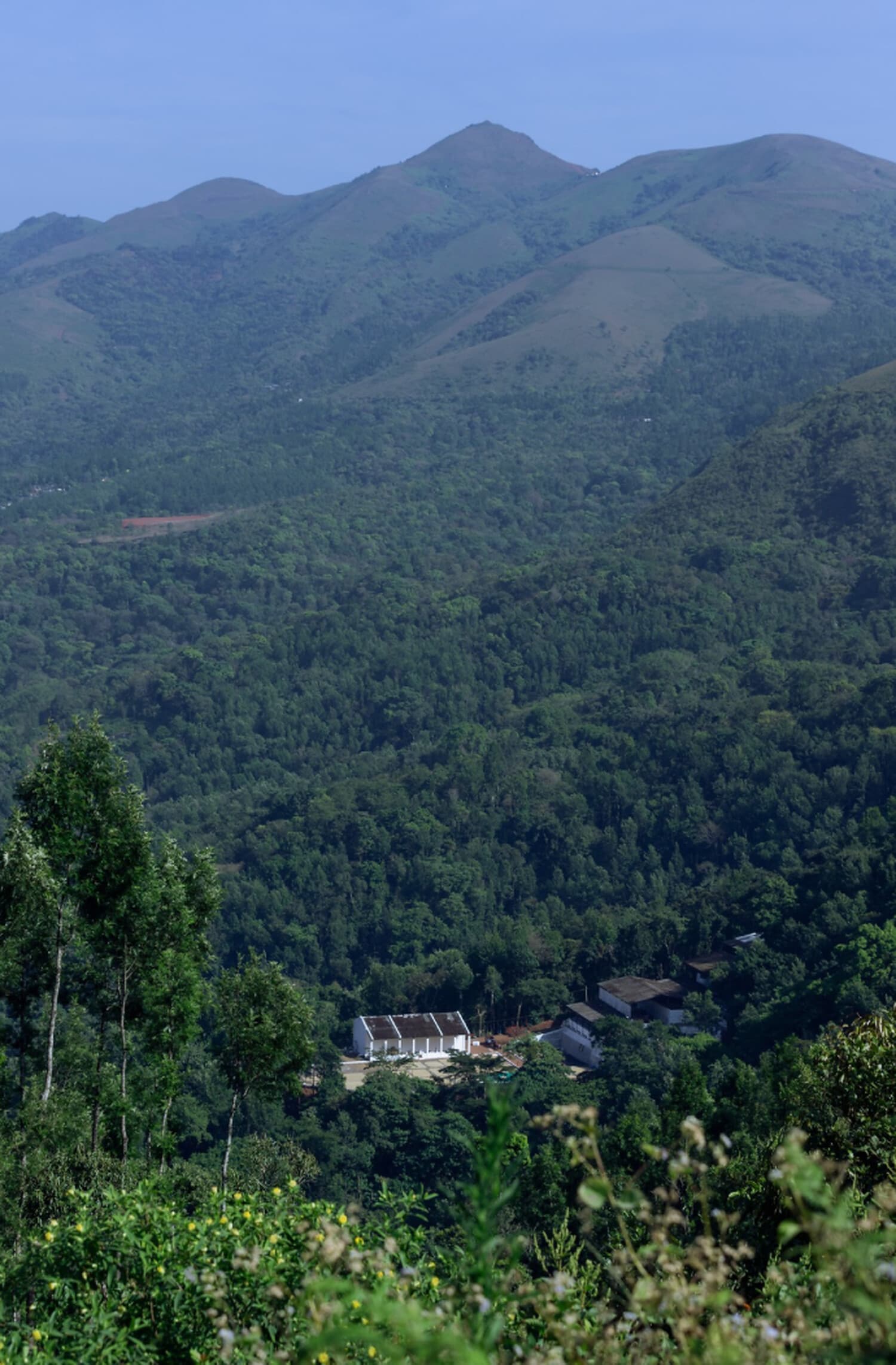 Badra's Bettadakhan Estate, The hills